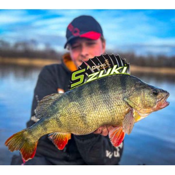 Спиннинг DOIYO S'zuki BARSCH PRO