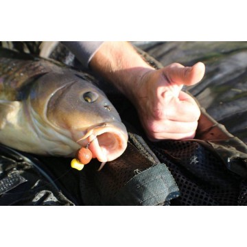 Плавающие насадки Evolution Carp Tackle Dumb Bell System - Washed Out Pellet Cream 8шт.