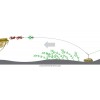 Готовые оснастки на сома MADCAT® SCREAMING PROFI RIVER RIGS «WORM & SQUID»